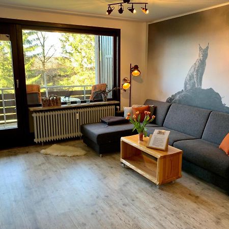 Apartmán Luchsbutze Sankt Andreasberg Exteriér fotografie