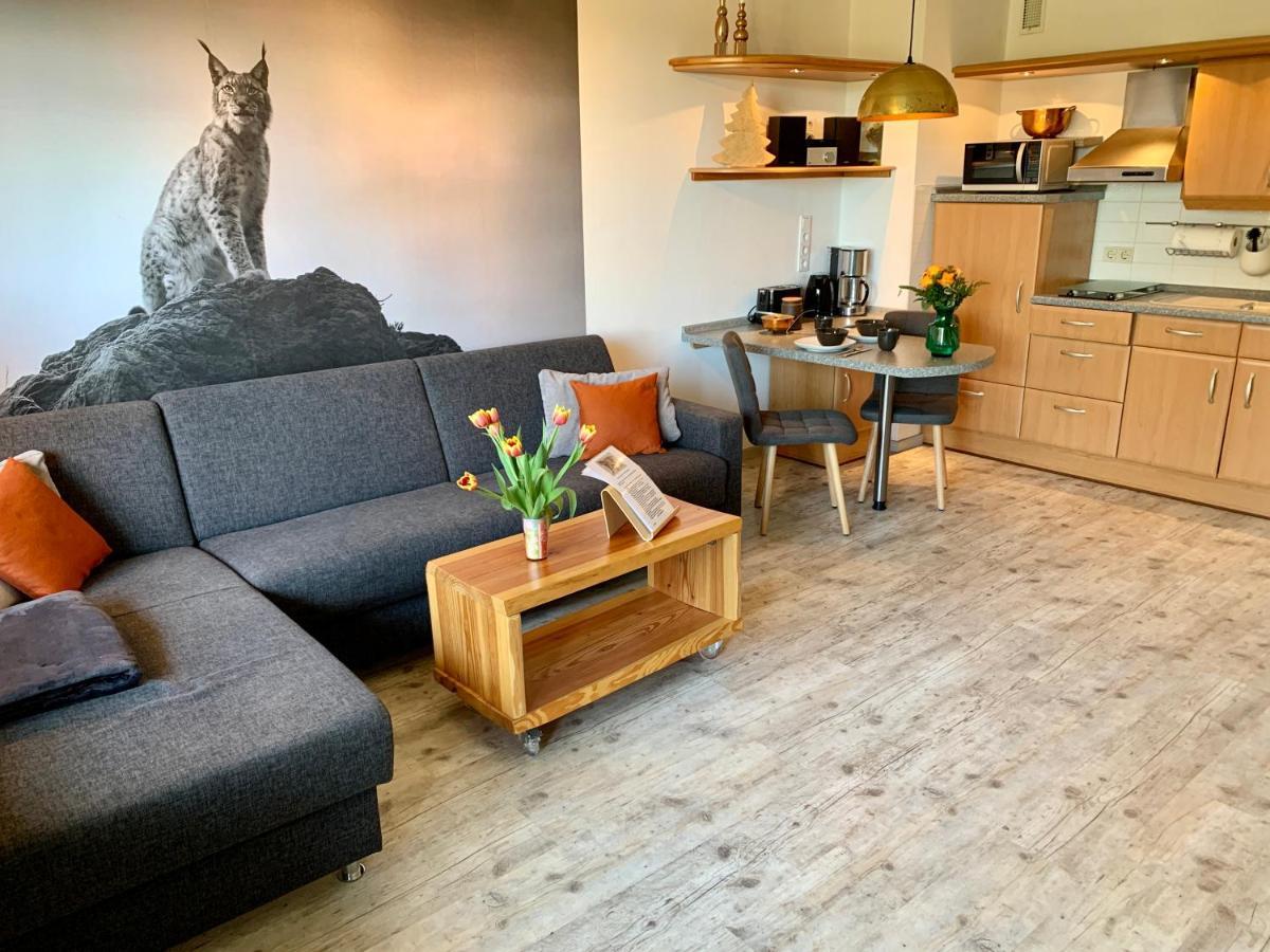 Apartmán Luchsbutze Sankt Andreasberg Exteriér fotografie