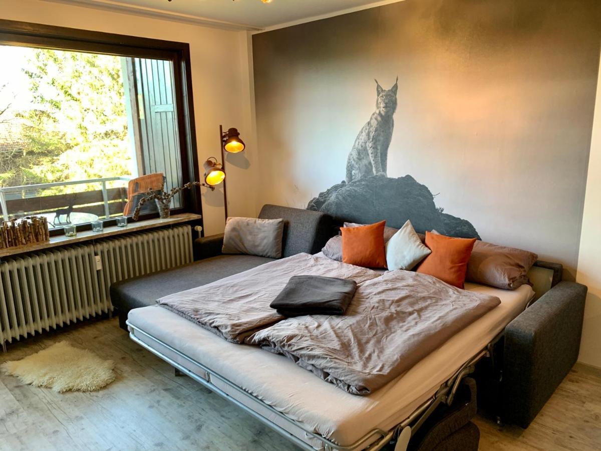 Apartmán Luchsbutze Sankt Andreasberg Exteriér fotografie