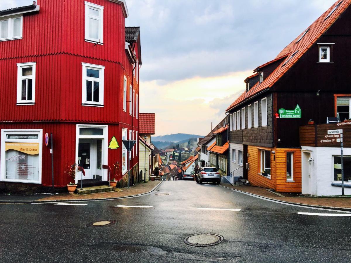 Apartmán Luchsbutze Sankt Andreasberg Exteriér fotografie